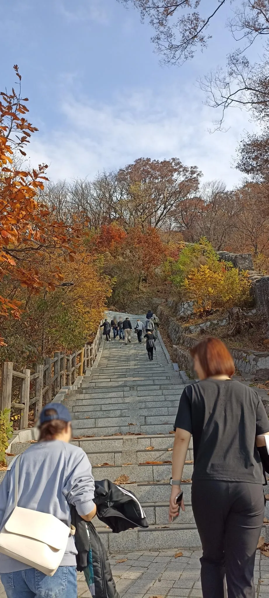 Picture of the stairs up to N. Seoul Tower