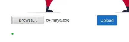 Screenshot of uploading the CV