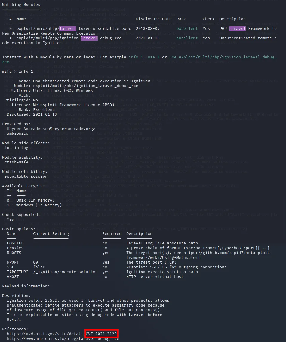 Screenshot of exploit-db results for laravel.