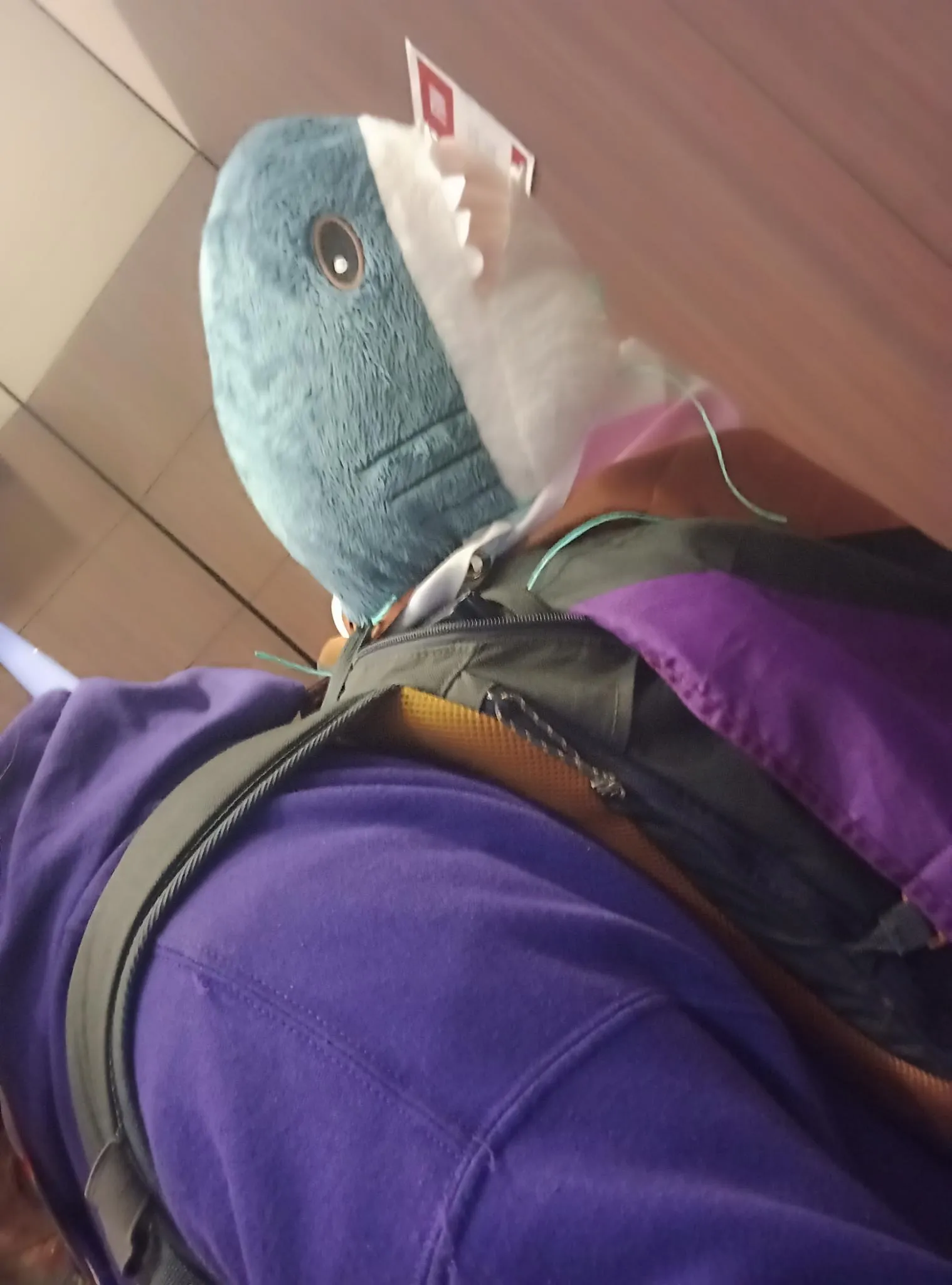Picture of a Blåhaj in a bag