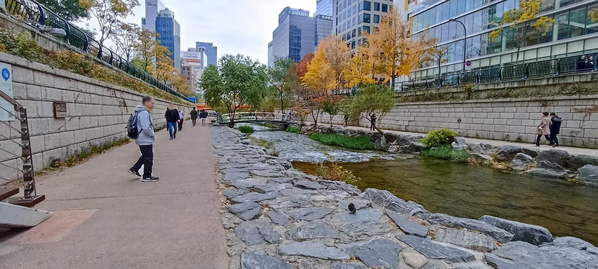 Picture of the Cheonggyecheon urban park space