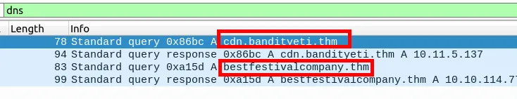 Screenshot of filtered DNS packets