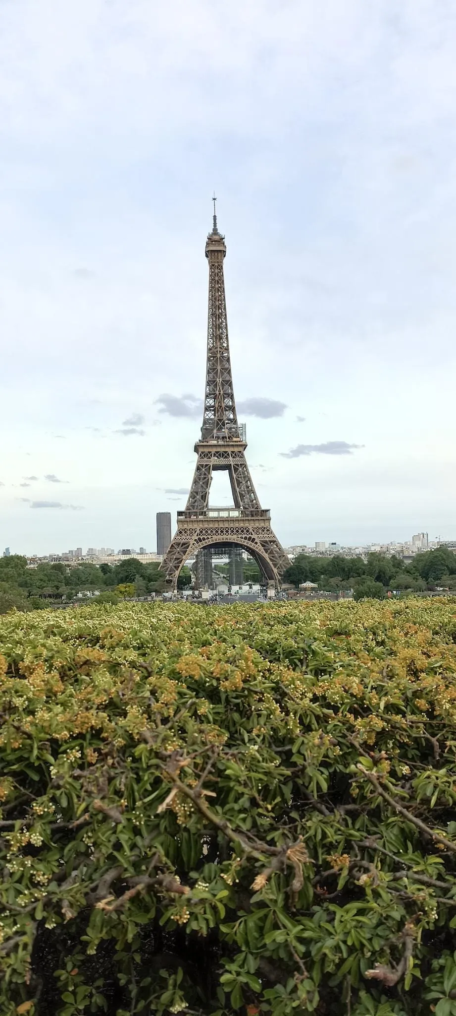 Picture of the Eiffel Tower, during the day
