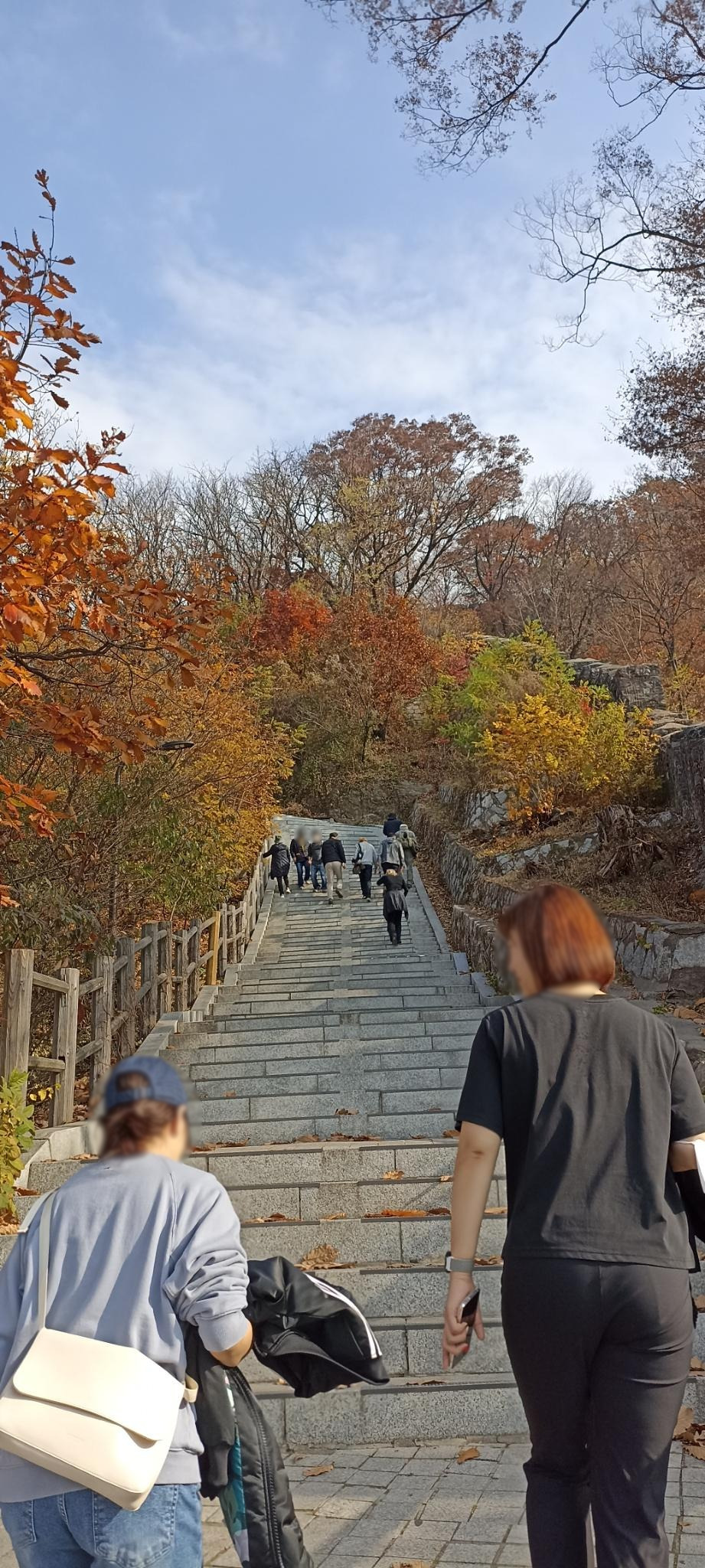 Picture of the stairs up to N. Seoul Tower.