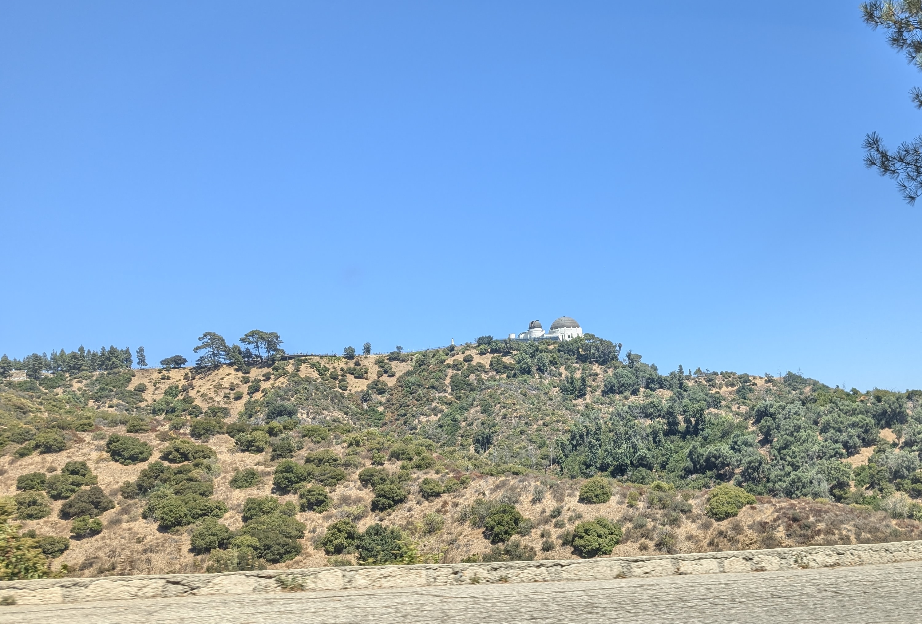 Picture of Griffith Observatory, taken from the road going down to LA