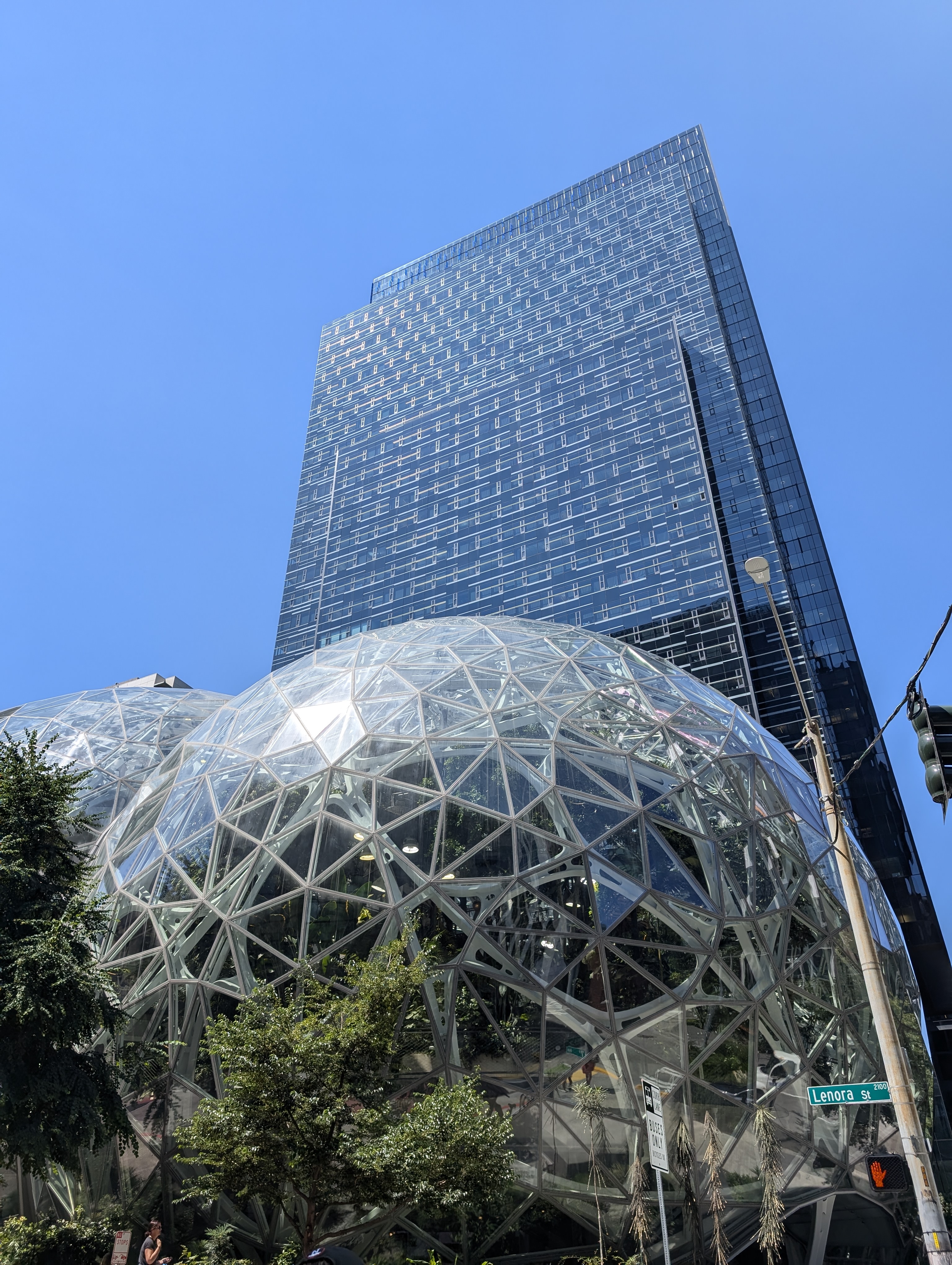 Picture of Jeff's Balls, a spherical building in Seattle.