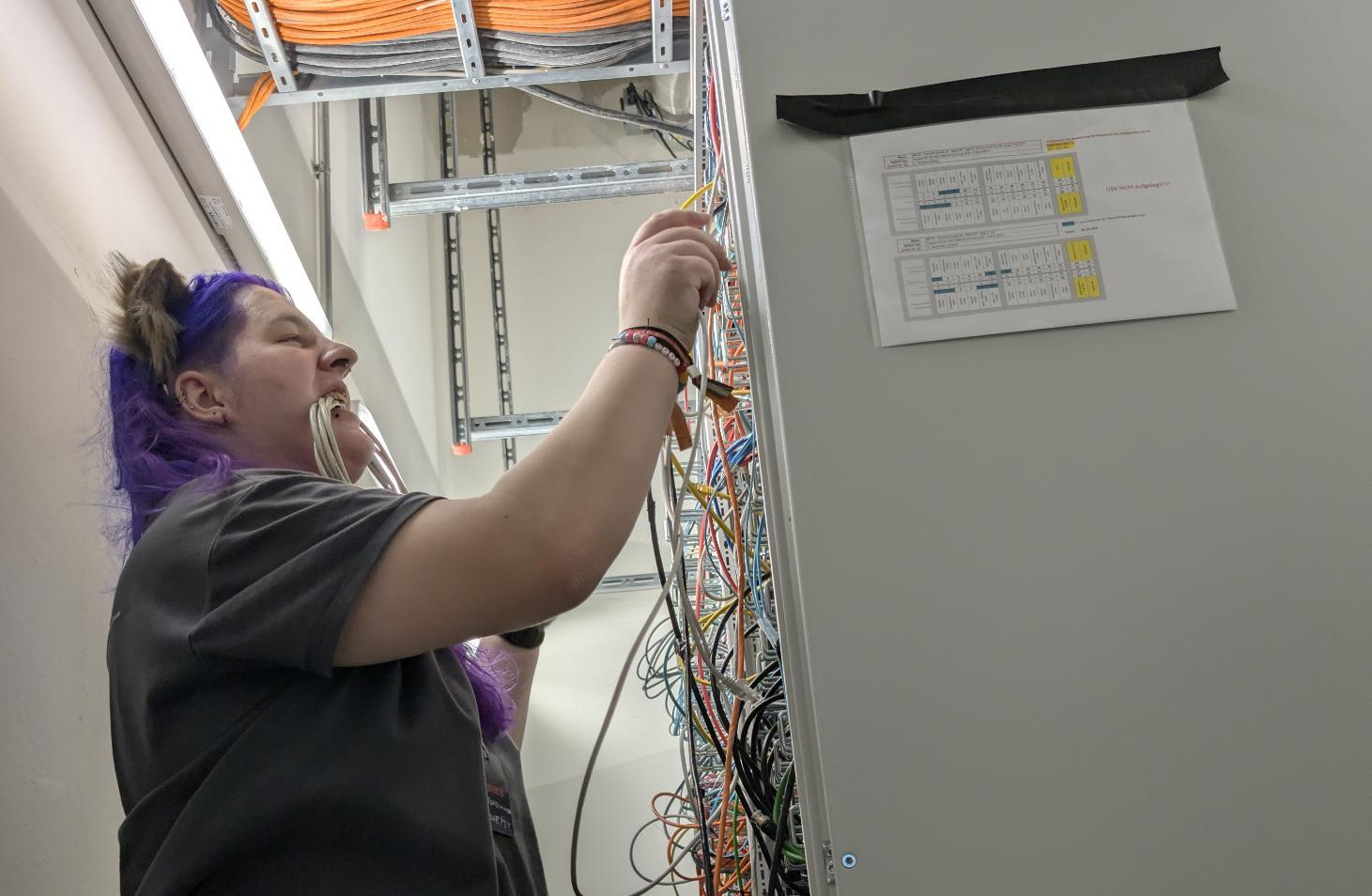 picture of maya plugging in cables in a patch room, it has a spare copper cable in its mouth.