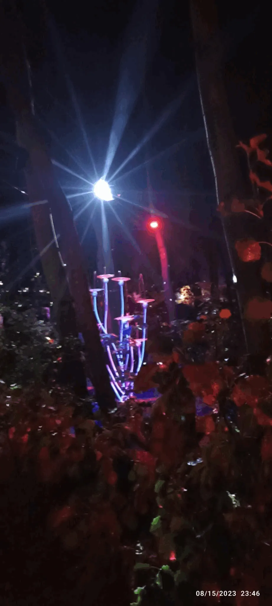 A picture of some lit shroom sculpture with a disco ball above