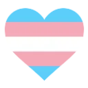 A heart showing a trans flag